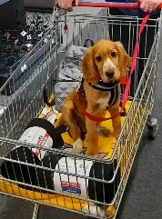 20201109_021215.jpg